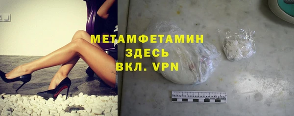 гидра Долгопрудный