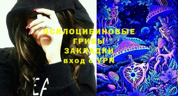 гидра Долгопрудный