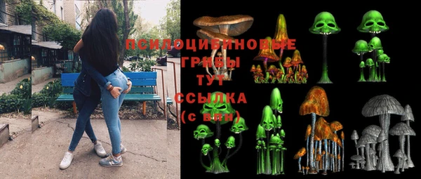 2c-b Мегион