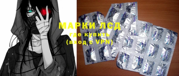гидра Долгопрудный